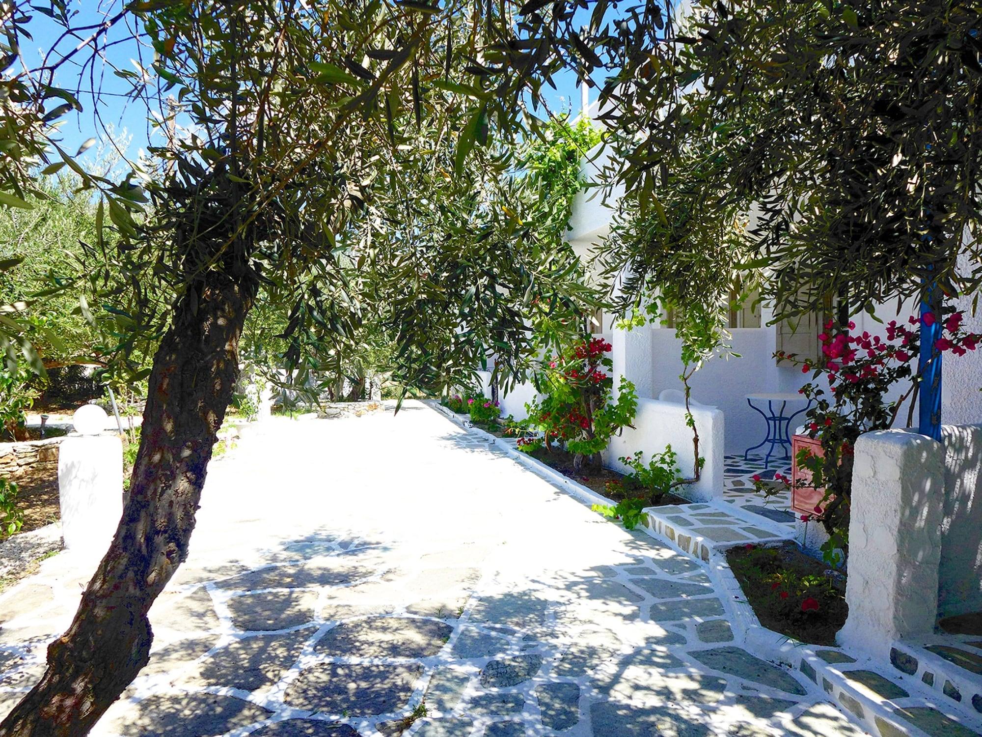 Amaryllis Beach Hotel Chrisi Akti  Bagian luar foto