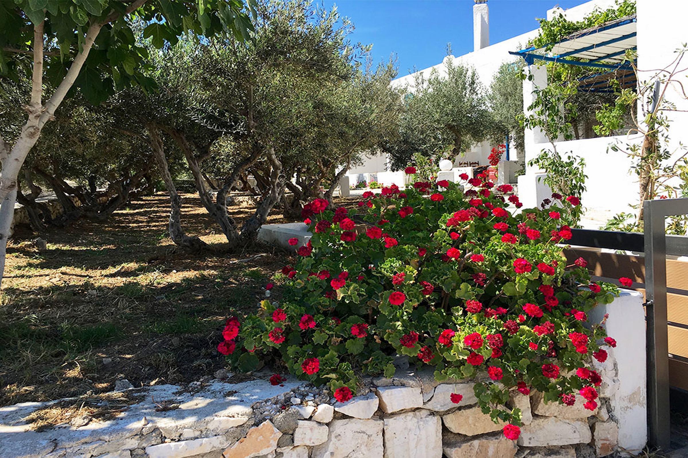 Amaryllis Beach Hotel Chrisi Akti  Bagian luar foto